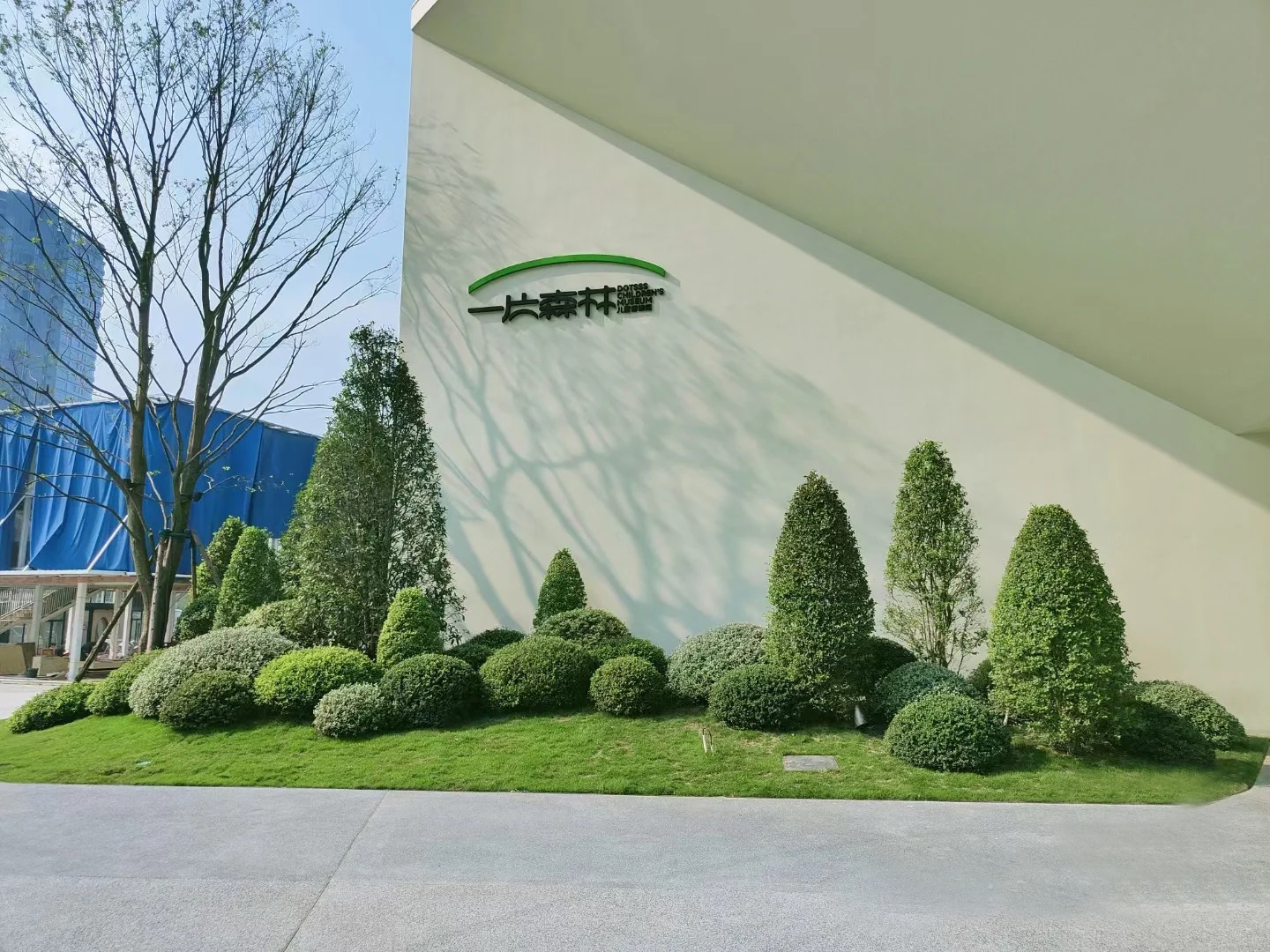 一片森林儿童博物馆 | 置身森林逸境，开启宇宙探索之旅