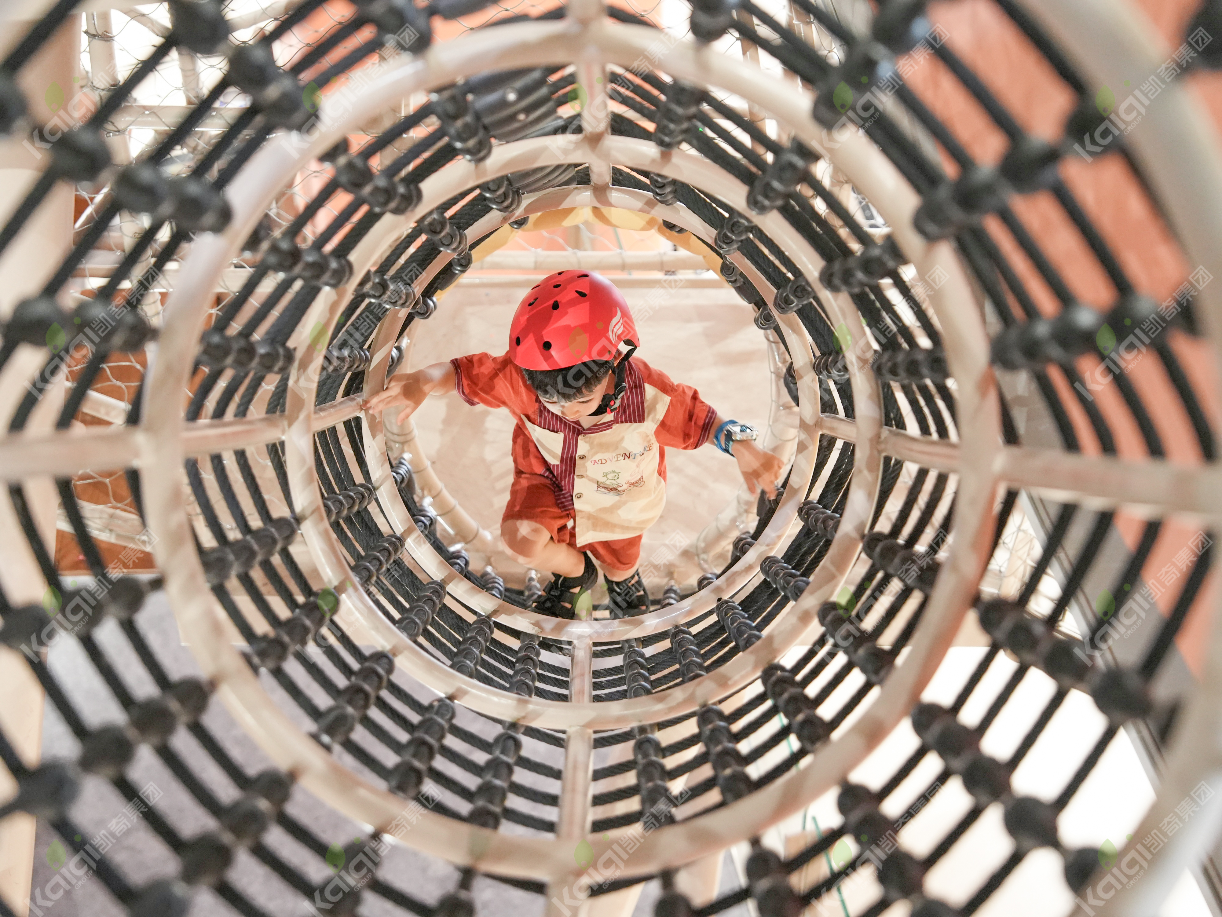 杭州元探索馆 | 攀爬之树，行者之路上的探索与成长